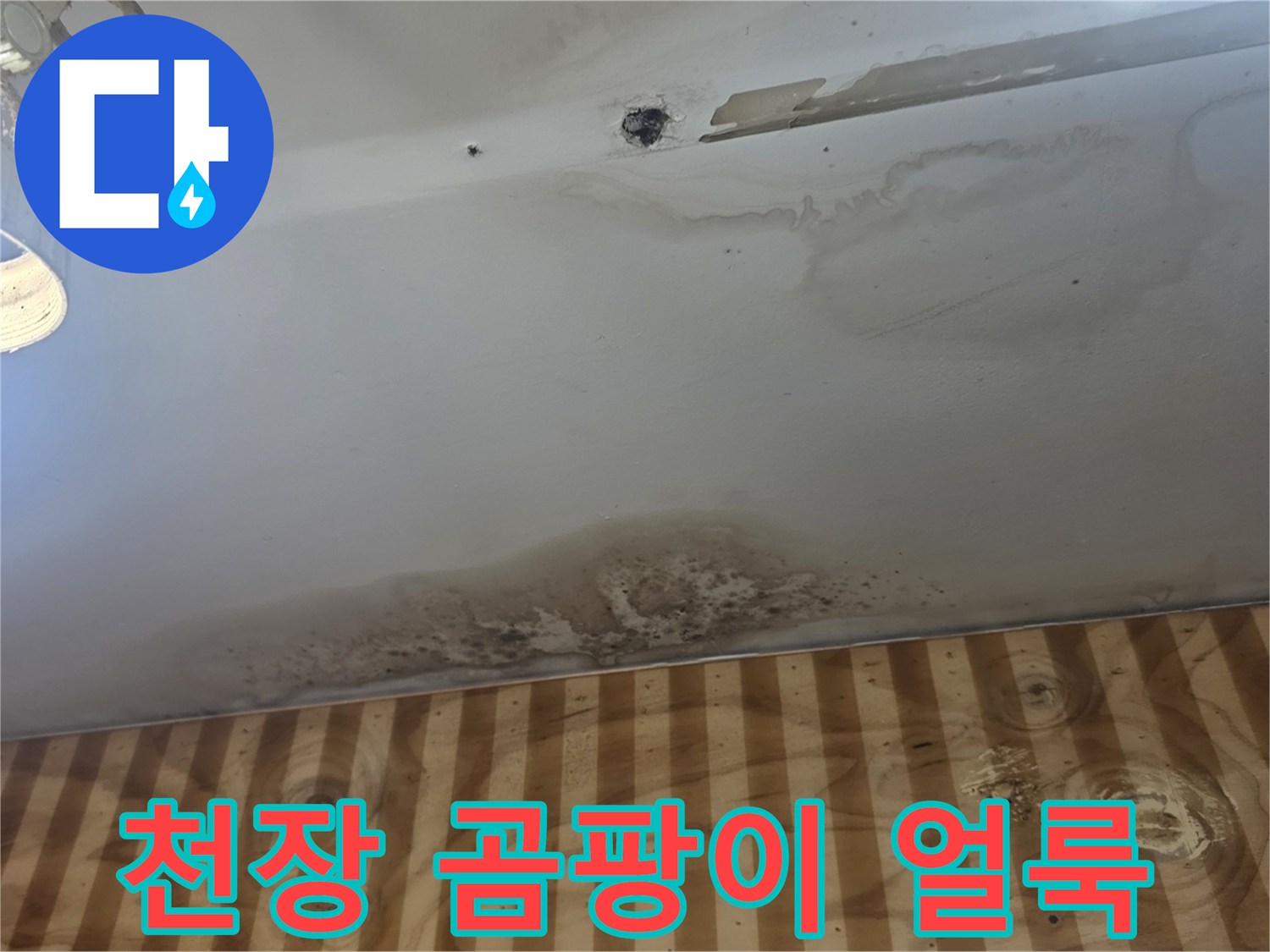 천장 마감재 부위에 발생한 곰팡이와 습기 흔적