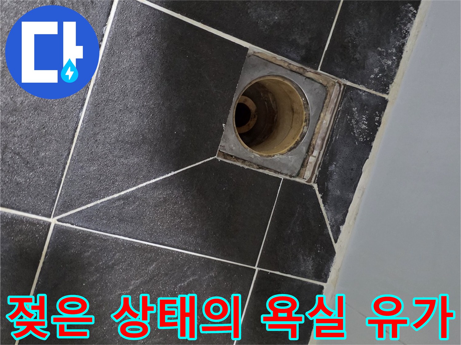 욕실 하수구 배수구 주변 타일이 젖어 있는 모습