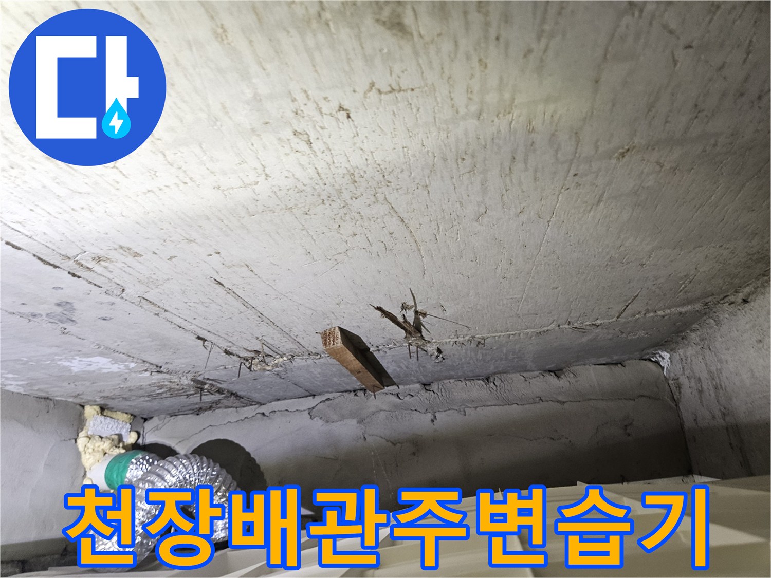 화곡동 현장-천장 배관 연결 소켓 부근의 젖은 콘크리트