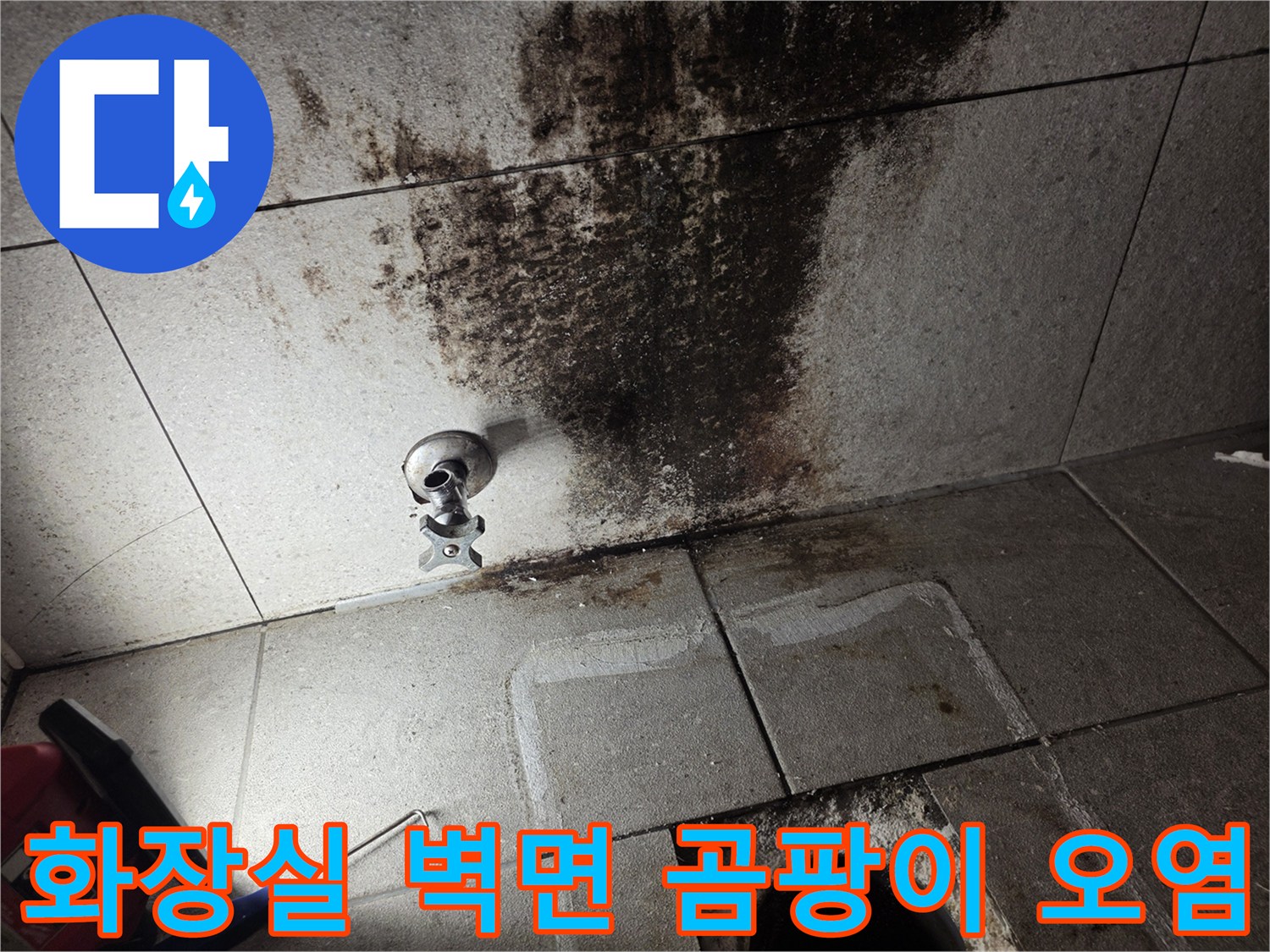 남양주 화장실 타일 벽면에 발생한 심한 곰팡이와 변색 상태