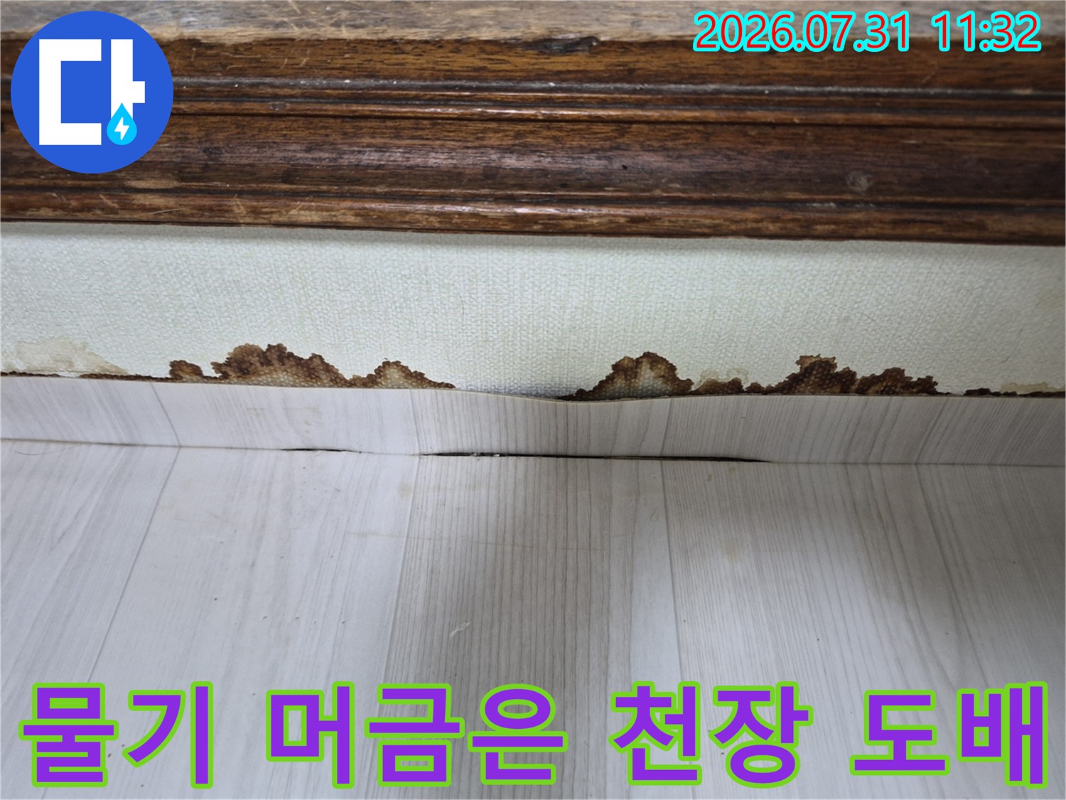 누수로 인해 젖고 변색되어 울퉁불퉁해진 상부 천장 도배지 상태