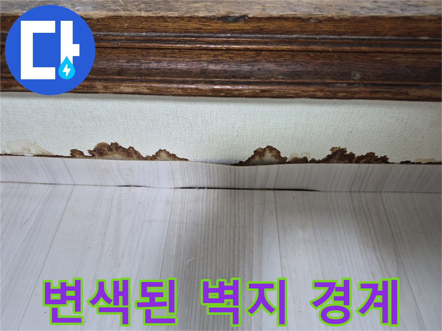 바닥재와 벽지 사이-곰팡이로 오염된 틈새 부위