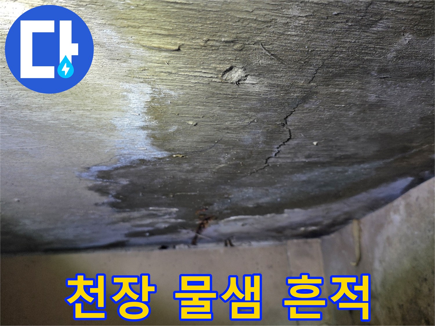 분당 구미동 원룸-천장에 발생한 넓은 물 얼룩과 균열 상태