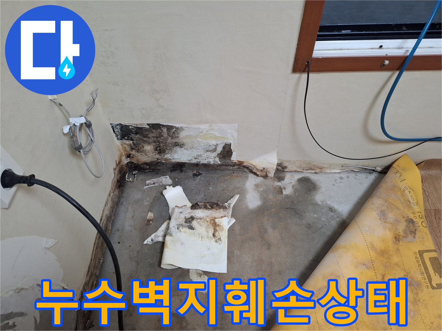 개봉동-현장-벽체-하단부-곰팡이-확인