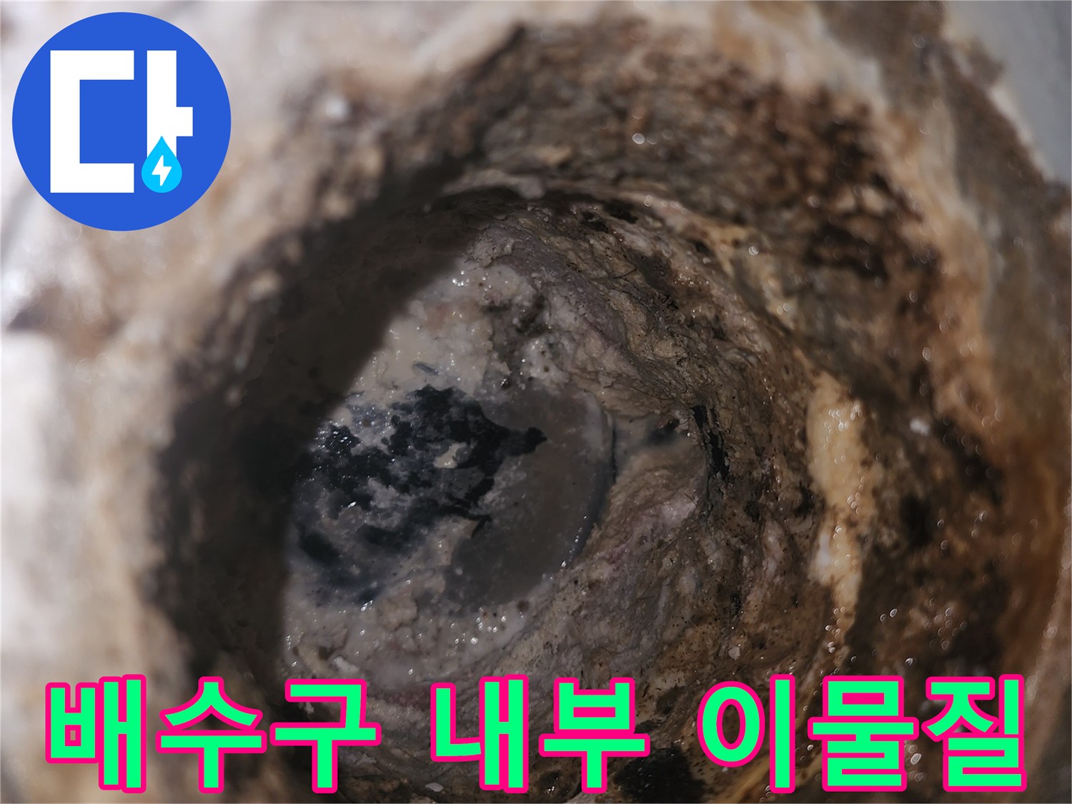 배수구 유가 내부에 쌓인 오염된 슬러지와 젖은 상태의 사진입니다.