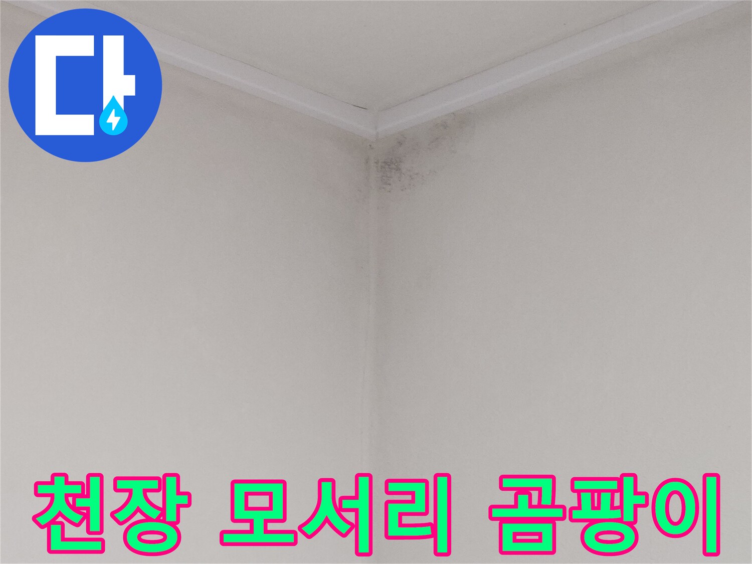 화장실 천장-구석진 곳의 곰팡이 발생 상태