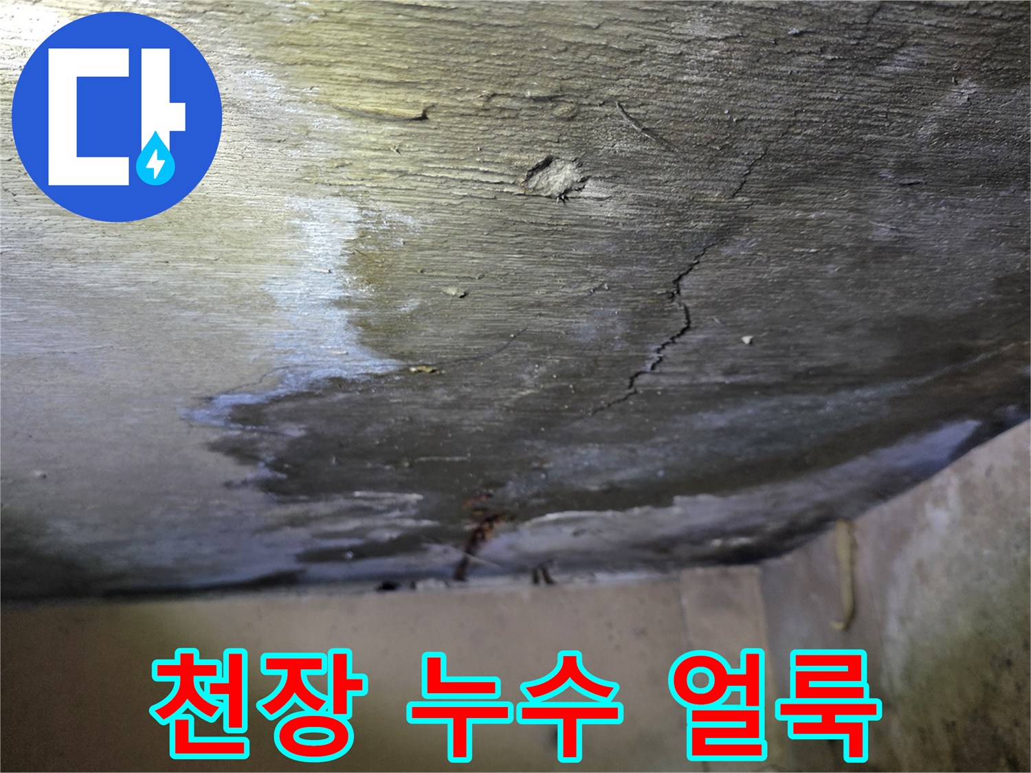 분당 구미동 아파트 천장면에 발생한 누수 흔적과 젖은 자국