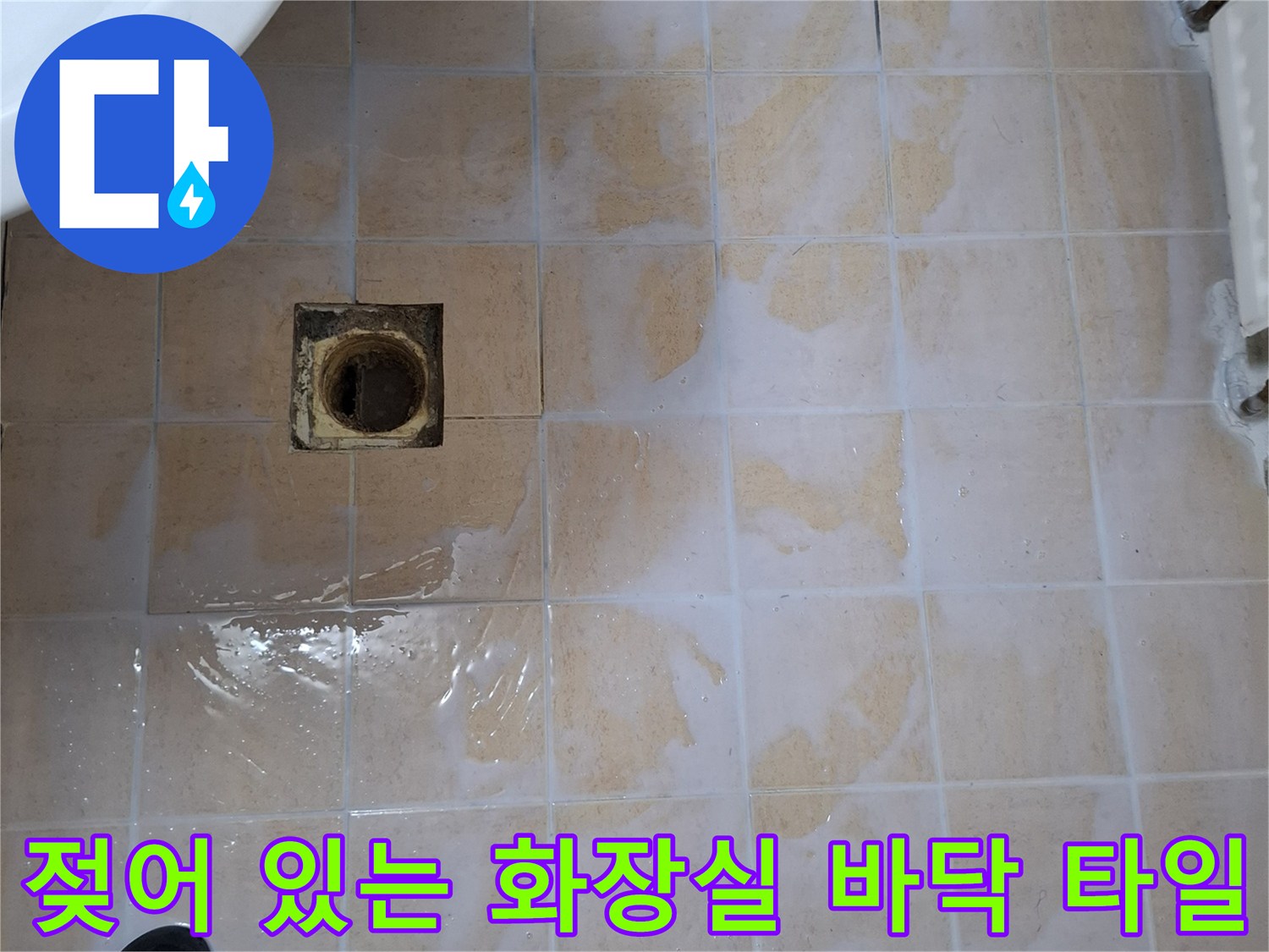 배수구 주변 타일이 물에 젖어 변색된 모습 - 누수 원인 파악 단계