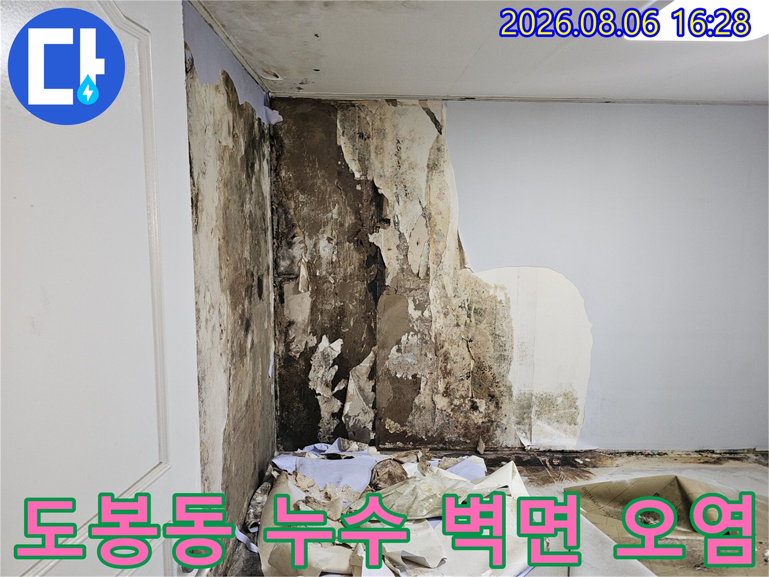 도봉구 도봉동 아파트-누수로 인해 벽지가 들뜨고 곰맨이 발생한 현장 모습입니다.