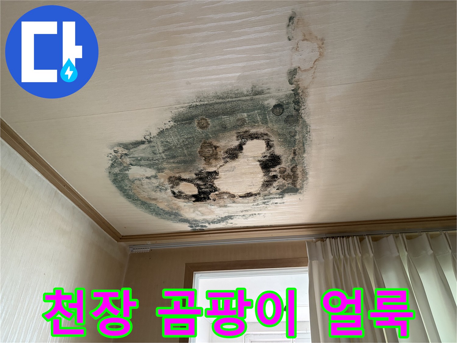 심하게 오염된-천장 벽지 및 곰팡이 발생 부위