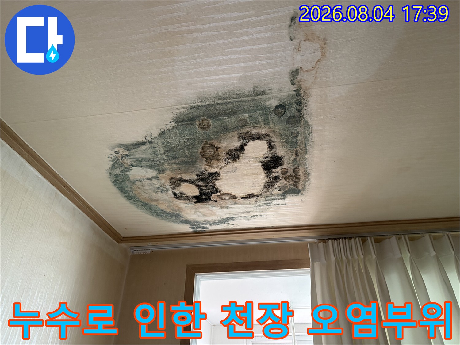 천장 마감재에 고착된 곰팡이와 수분 침투 흔적을 보여주는 사진