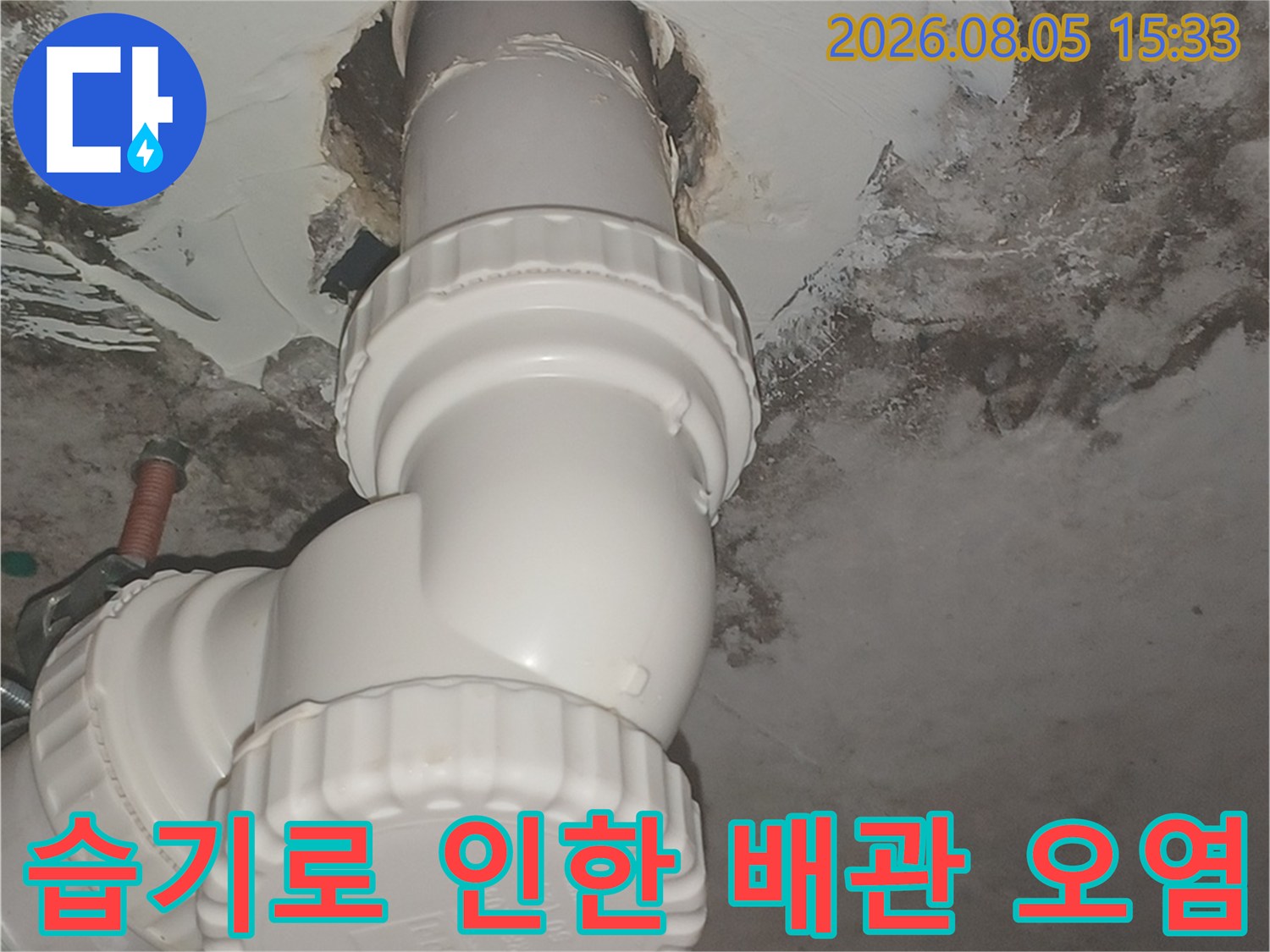 천장 하수관 연결부 주변의 습기와 곰팡이로 얼룩진 벽면