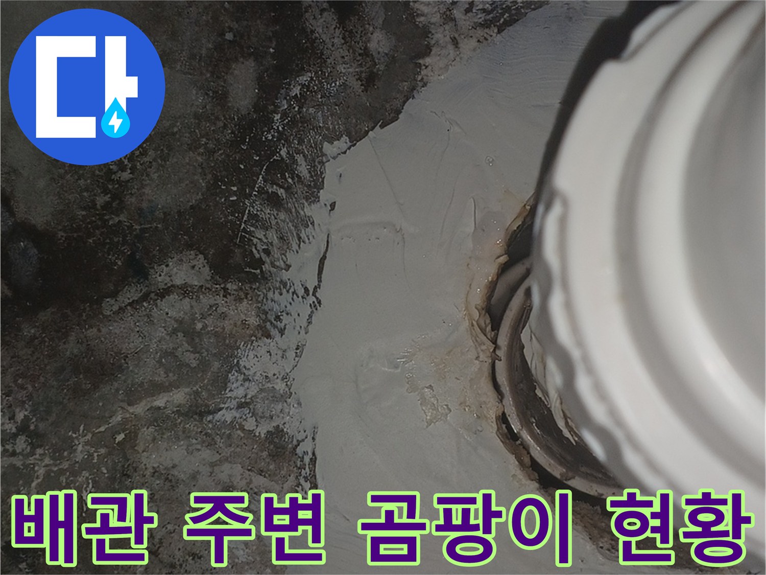 화장실 천장 배관 연결부의 젖은 흔적과 곰팡이
