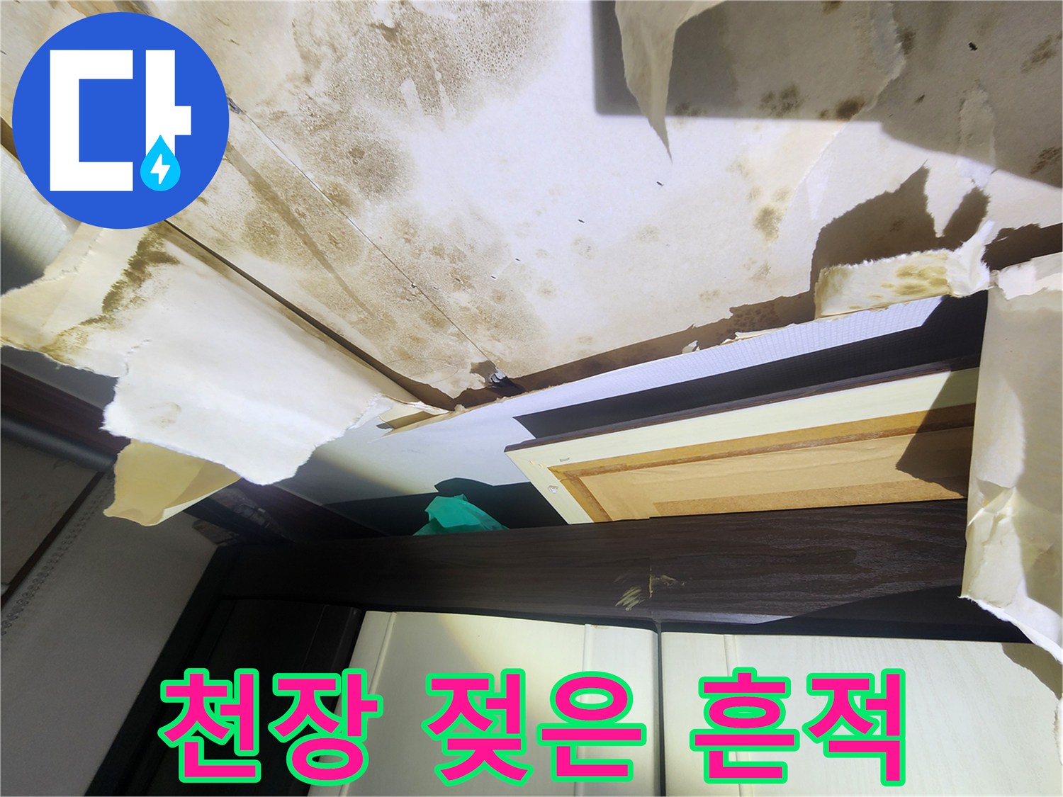 곰팡이가 발생한 천장 벽지 - 면목동 누수 현장 사진