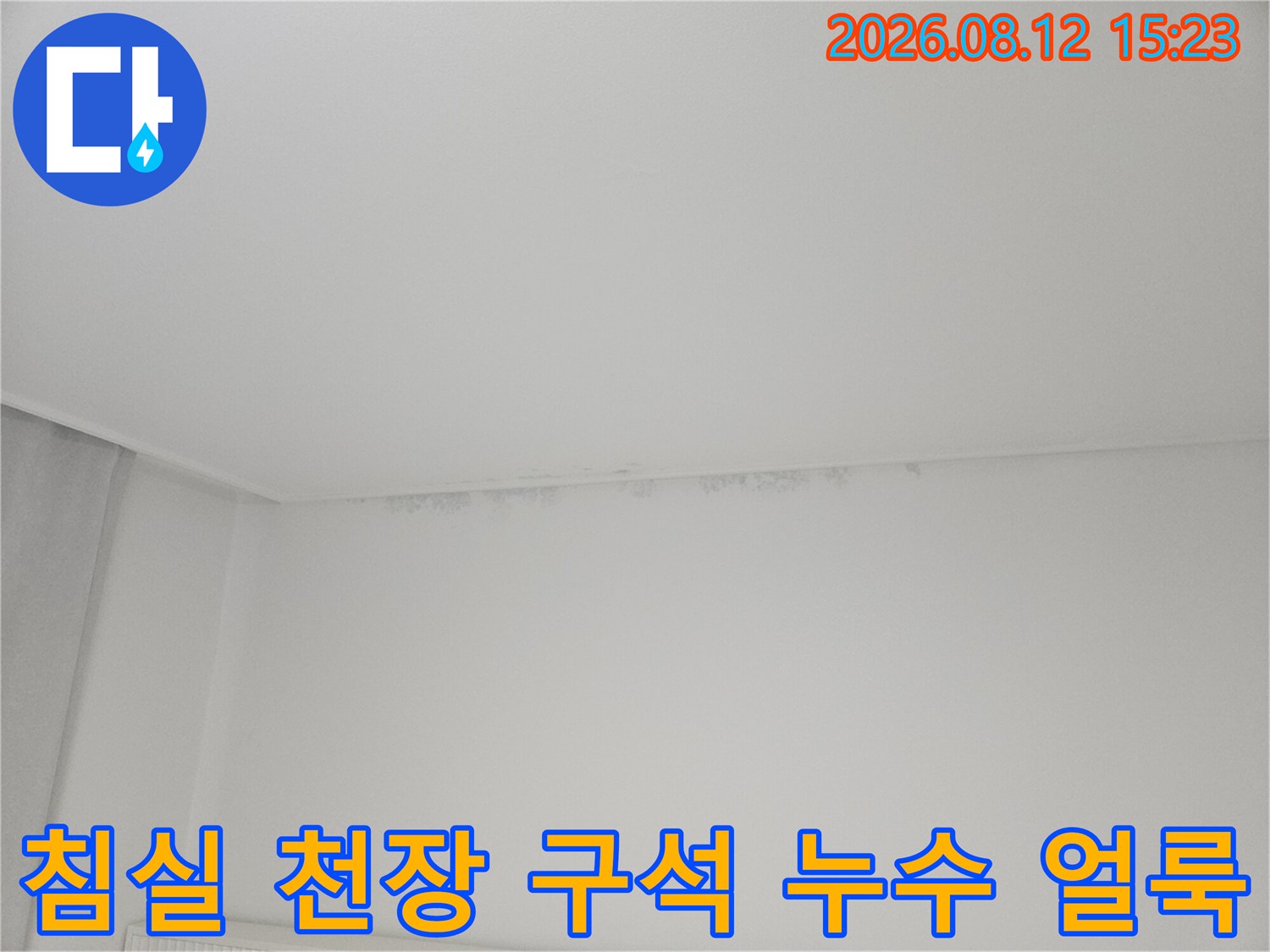 하얀색 벽지-천장과 벽의 접합 부위에 생긴 회색빛 물자국과 곰팡이 흔적