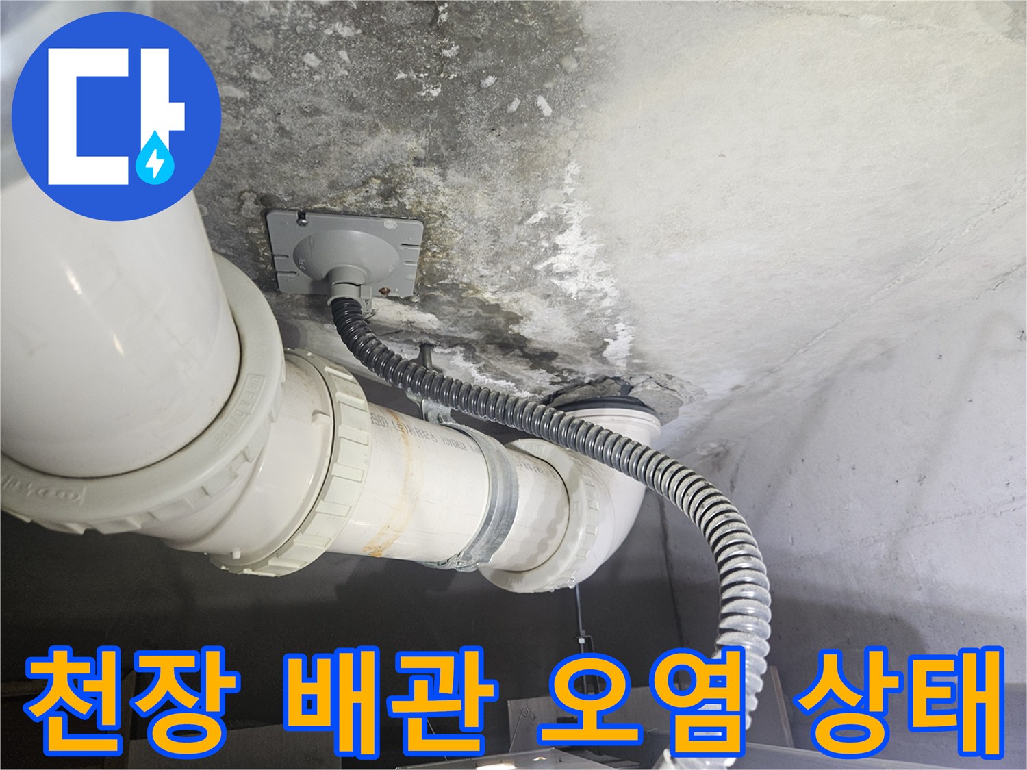 고양시 덕양구-화장실 천장 배관 주변의 습기와 곰팡이 흔적
