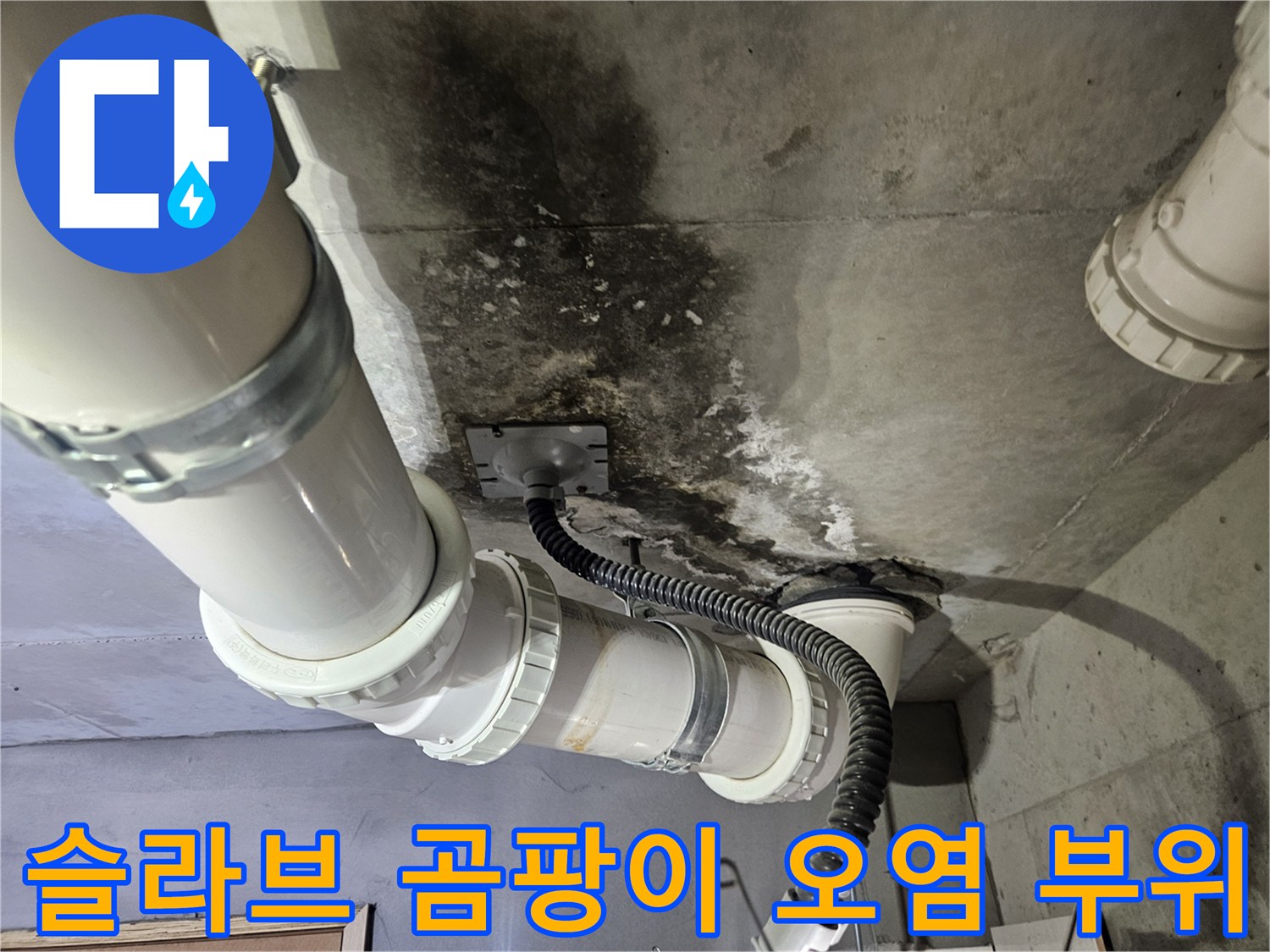 누수로-인한-천장-슬라브의-곰팡이와-배관-오염
