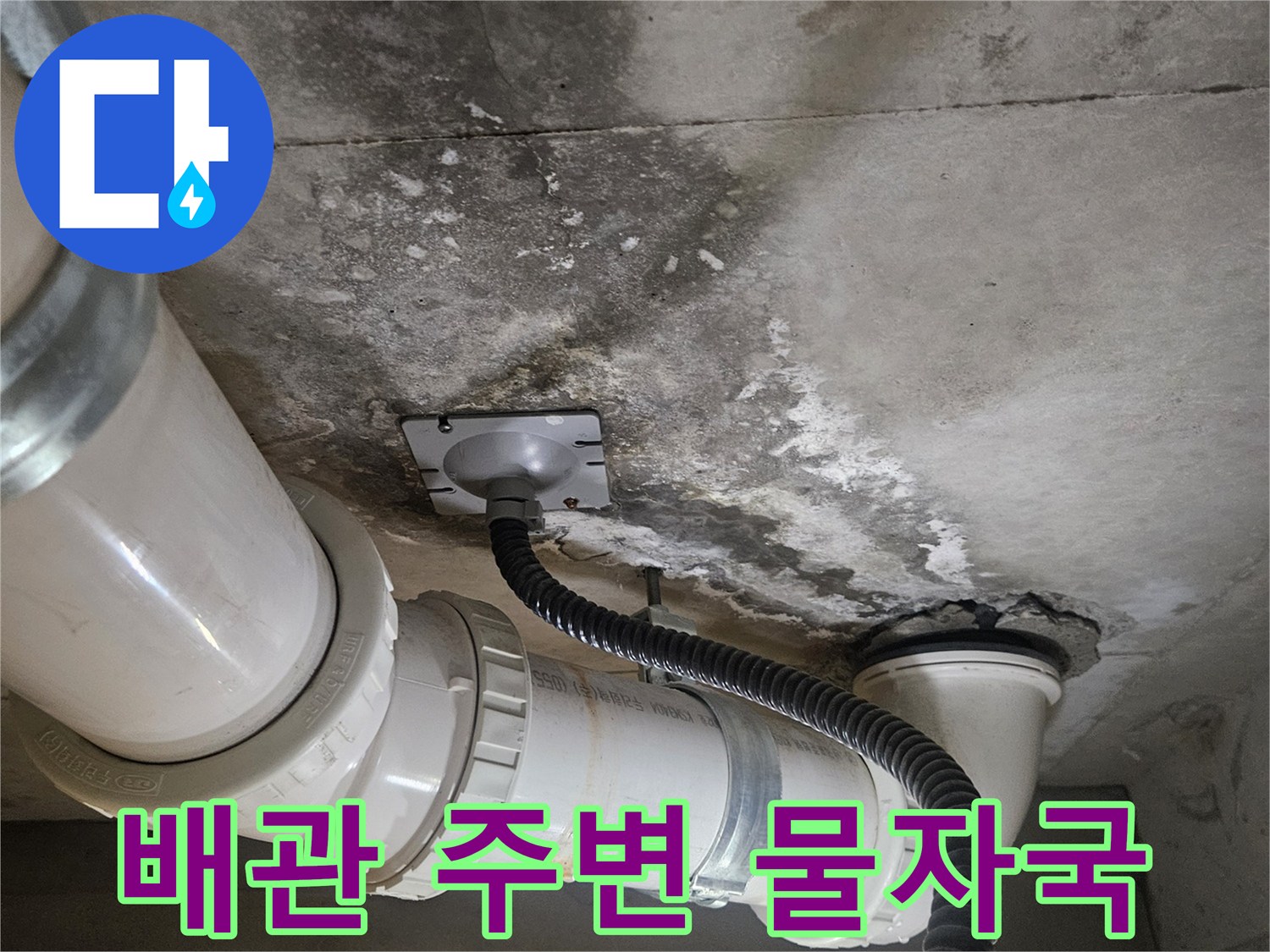 화장실-천장-배관-주변의-젖은-흔적과-오염상태