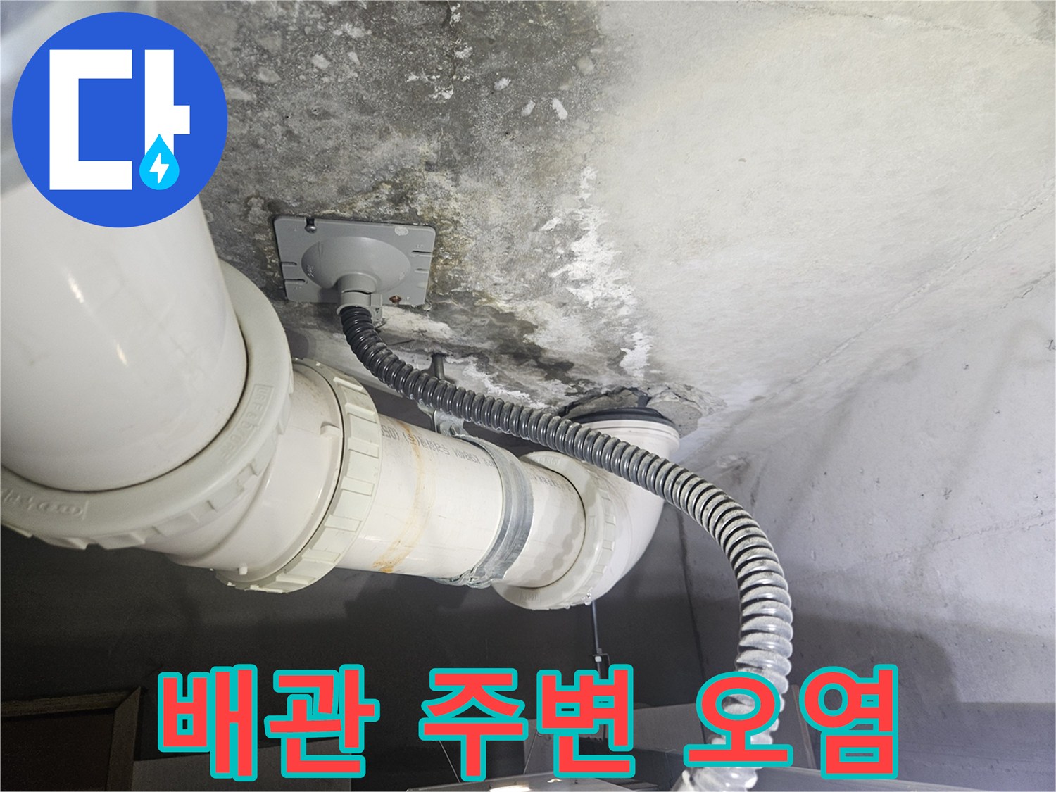 화장실 천장 배관 주위의 곰팡이와 습기 흔적
