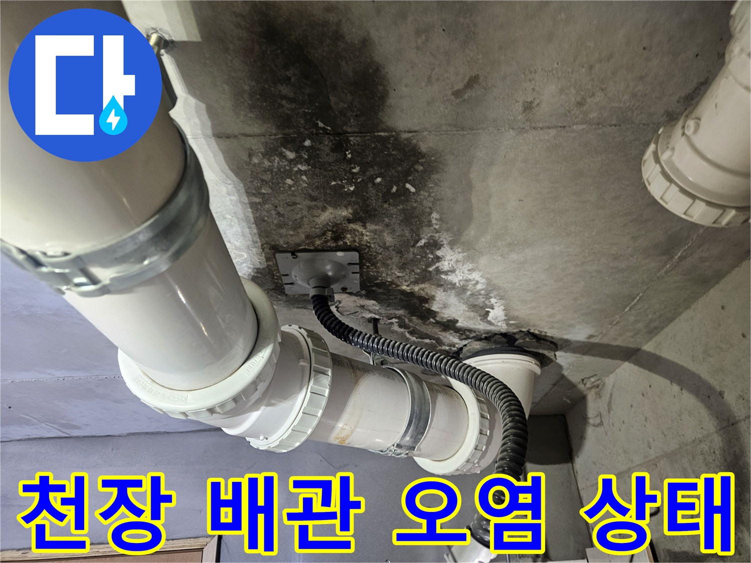 화장실-천장-슬라브-배관-주변의-곰팡이와-습기-흔적