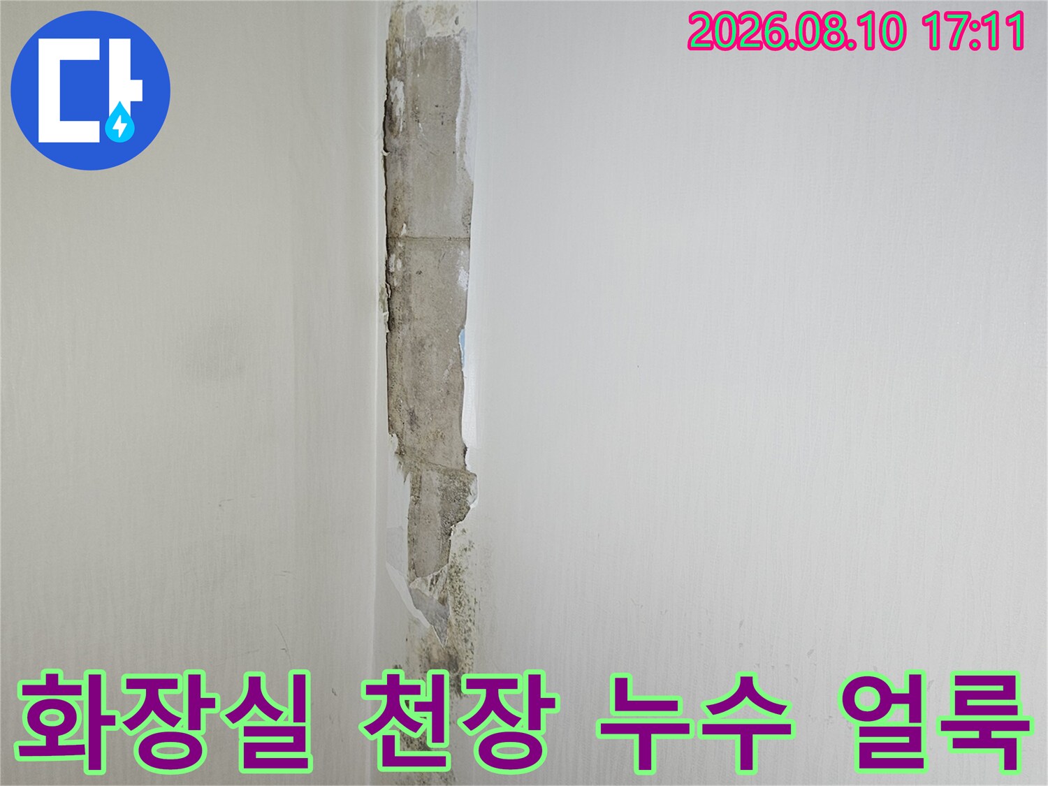 고양시 일산동구 아파트 화장실 천장 가장자리의 곰팡이와 습기로 인한 도배지 변색 현상