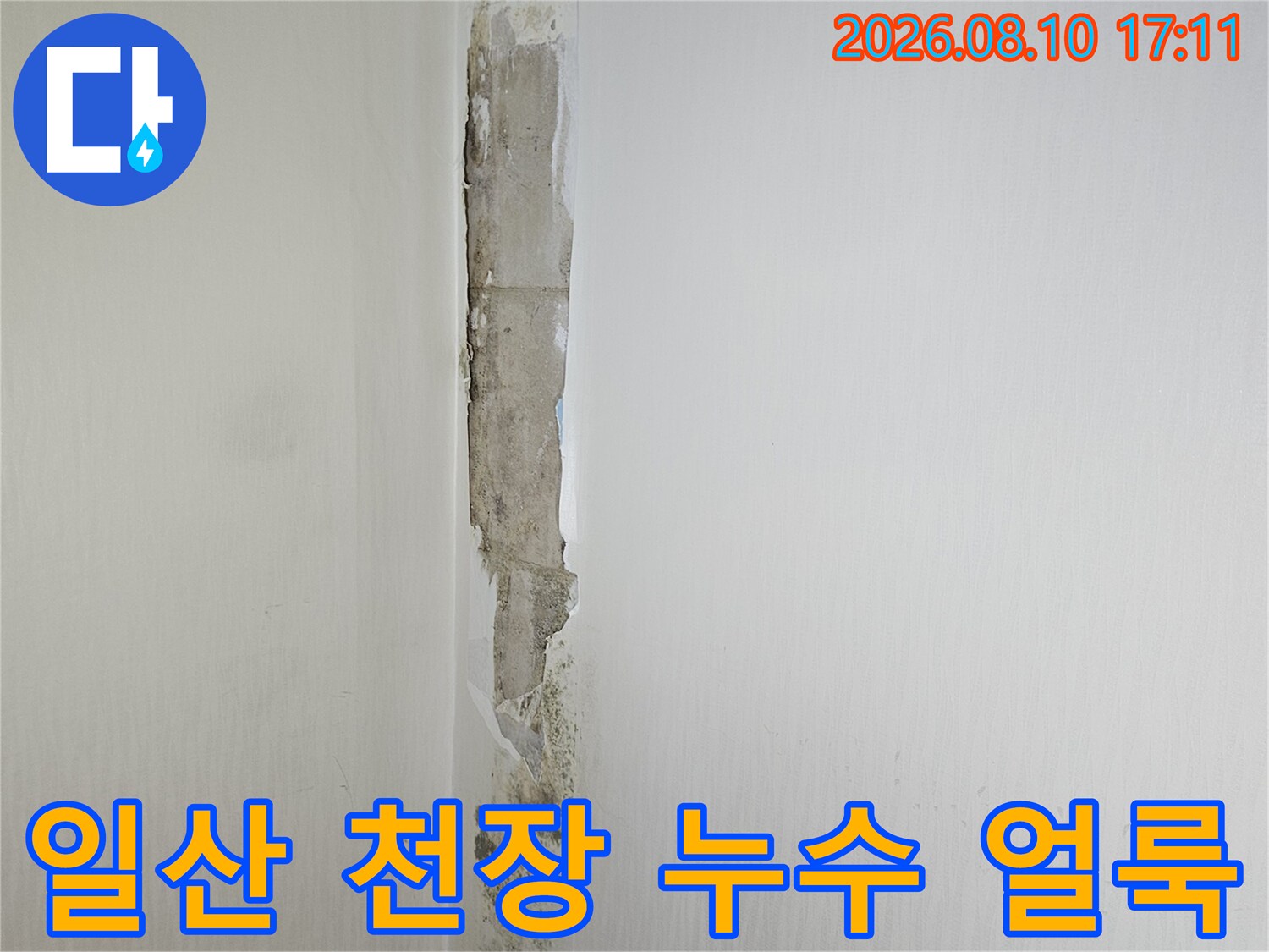 고양시 일산동구 아파트 화장실 천장 벽면의 누수 흔적과 곰팡이 상태