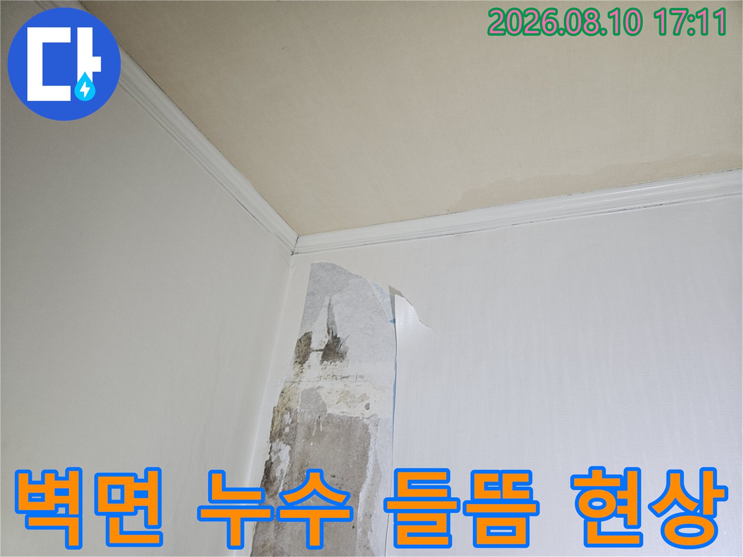 일산동구 아파트 화장실 벽면의 도배지가 물에 젖어 들뜨고 벗겨진 모습입니다.