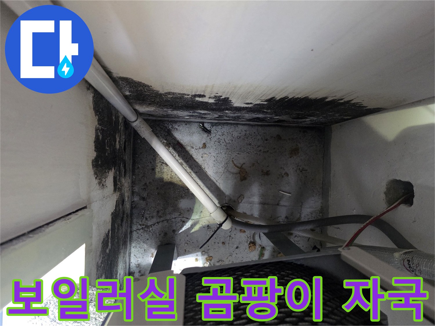 천장과 벽면 경계에 발생한 심한 곰팡이와 누수 흔적
