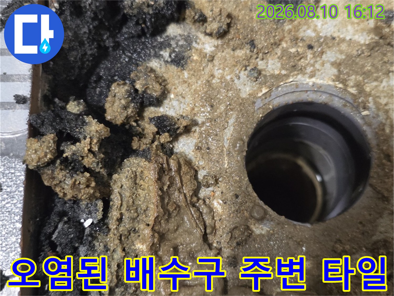 검게 변한 곰팡이와 물때가 가득한 욕실 배수구 주변의 모습입니다.