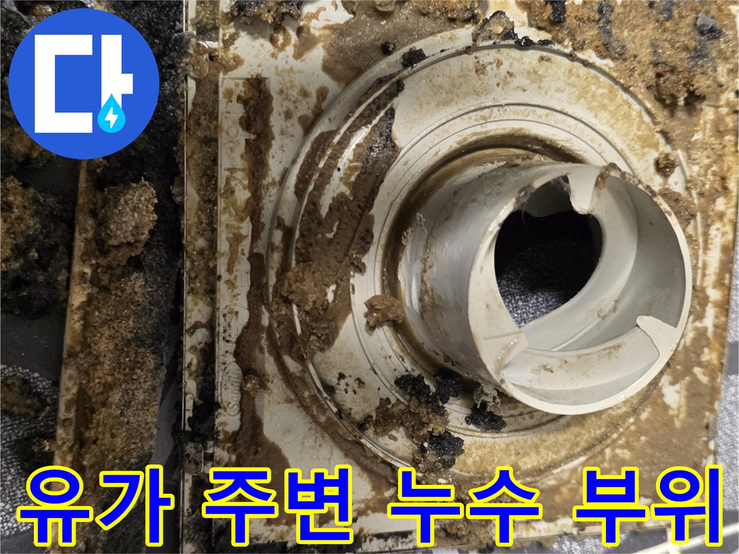 배수구 유가 틈새로 물이 침투한 방수층 파손 현장