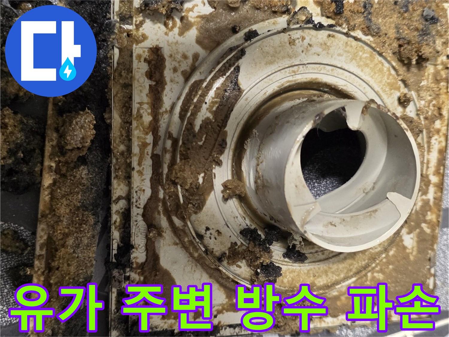 욕실-배수구-유가-주변의-심하게-부식된-방수층-상태