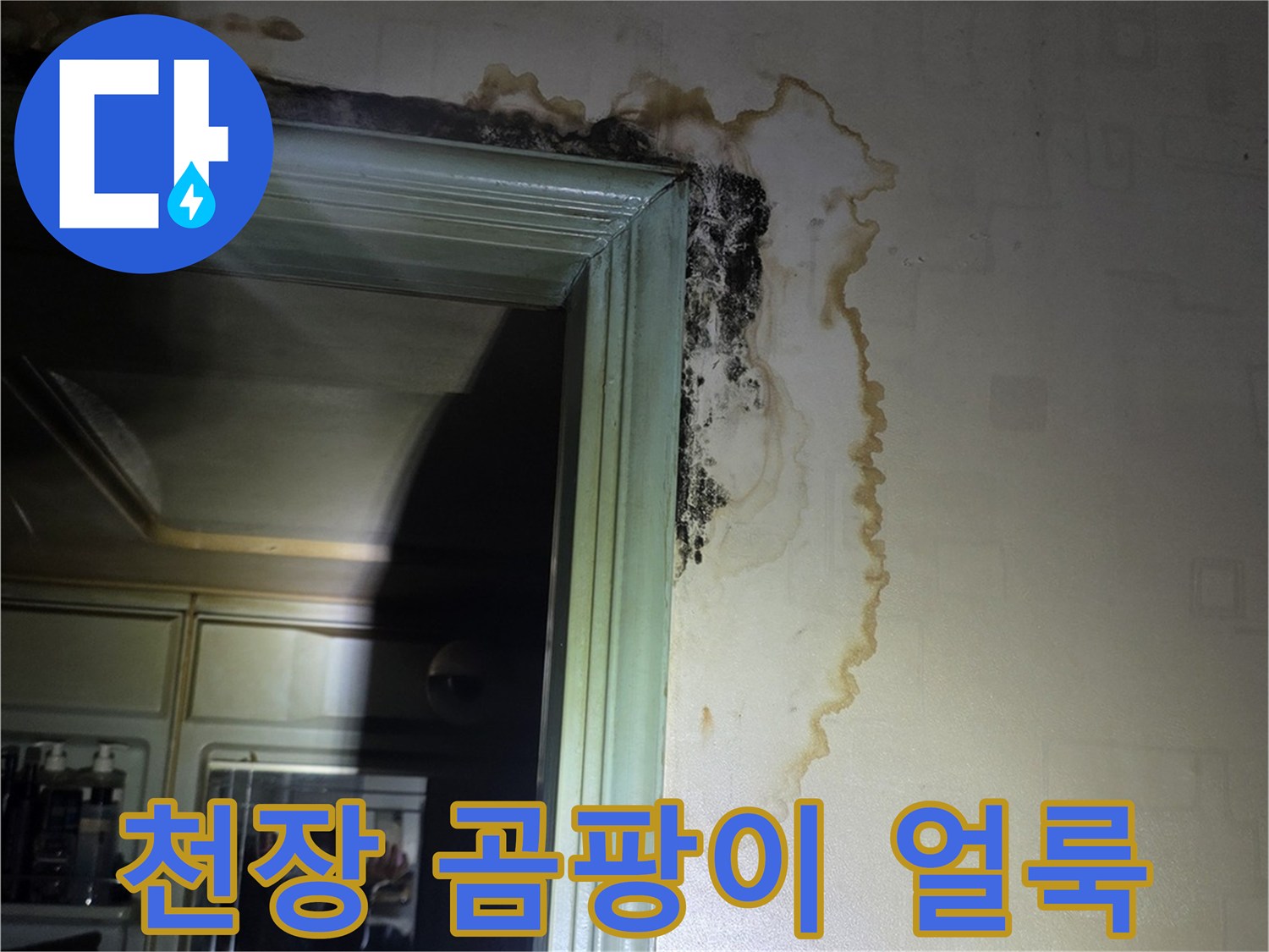 천장과 문틀 경계-누수로 인한 젖은 흔적과 곰팡이