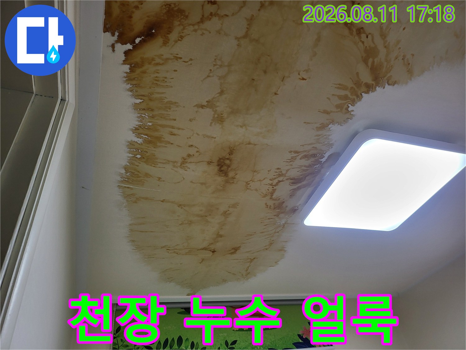 성북구 상월곡동-아파트 천장에 발생한 넓은 누수 흔적과 물자국
