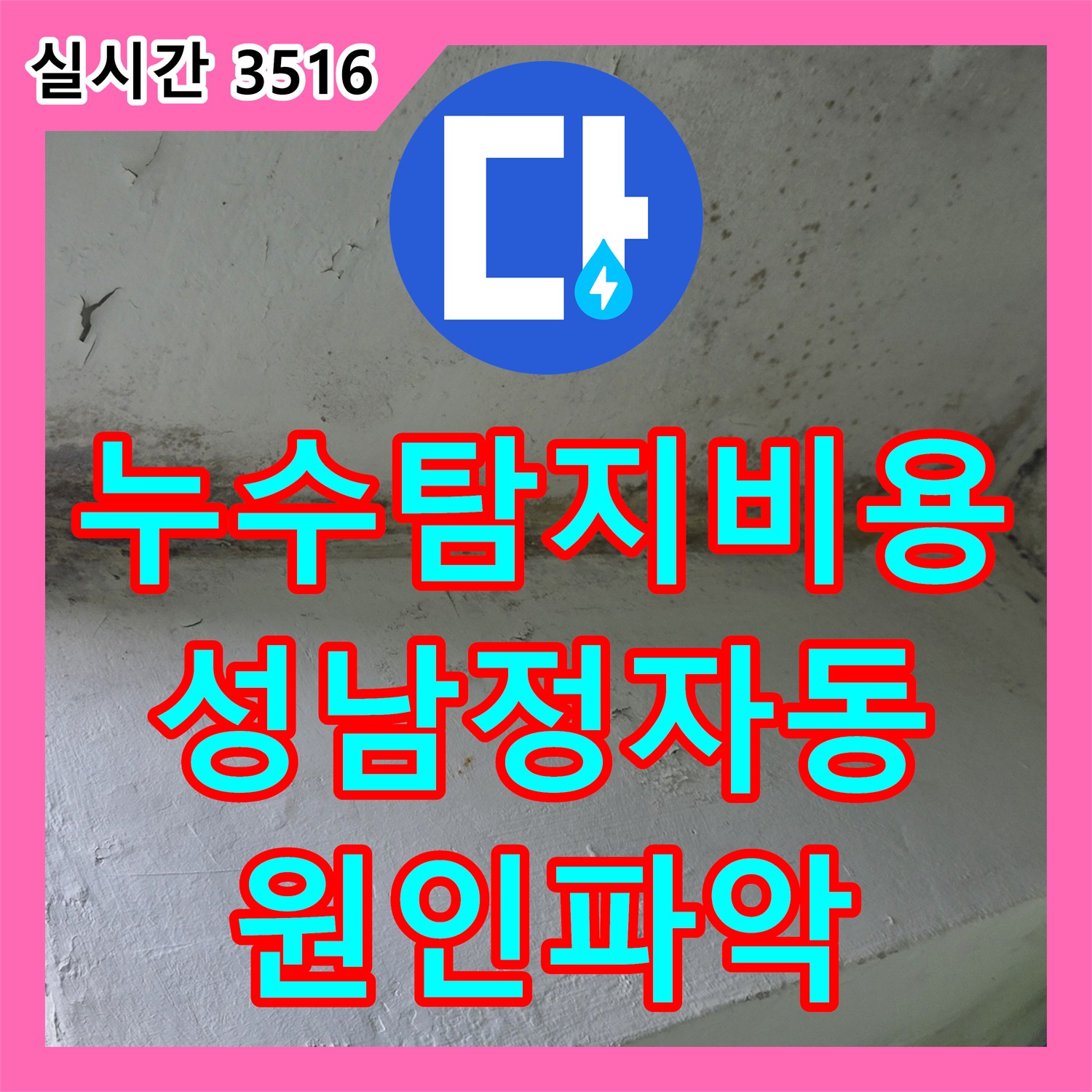 누수탐지비용 외에 정밀한 진단으로 베란다 천장 누수와 외부 유입 경로를 파악한 경기 성남시 분당구 정자동 작업