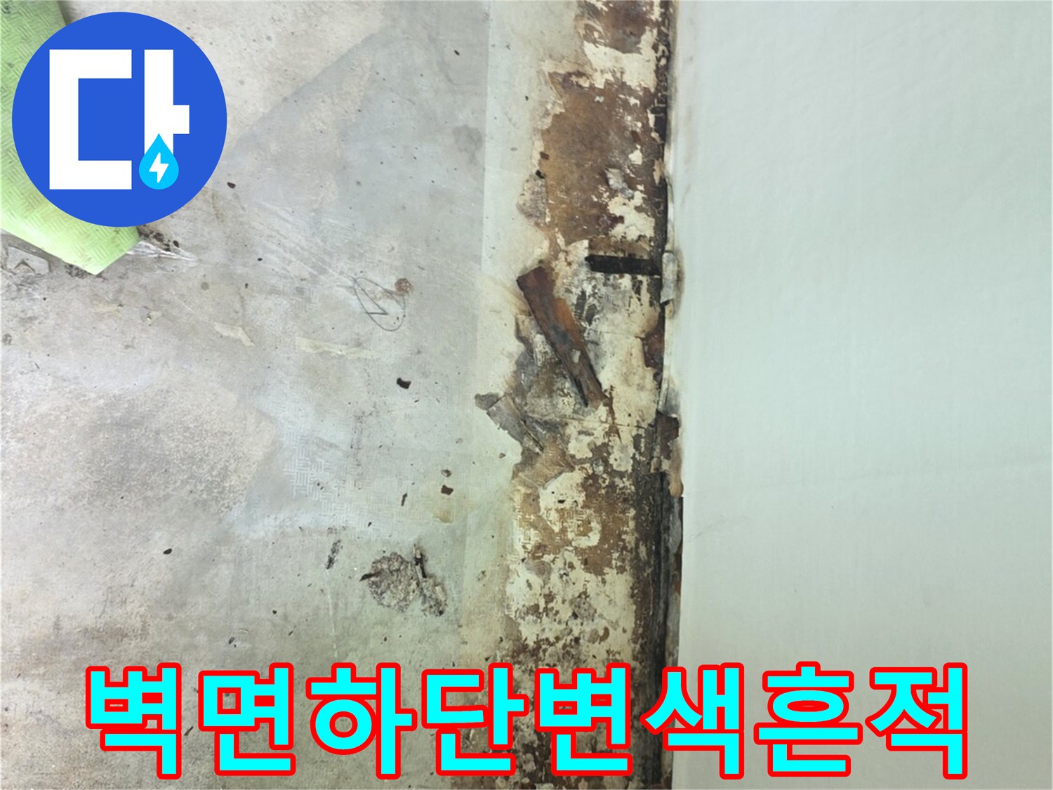 바닥과-벽이-만나는-지점에-형성된-심한-습기-얼룩과-곰팡이-자국