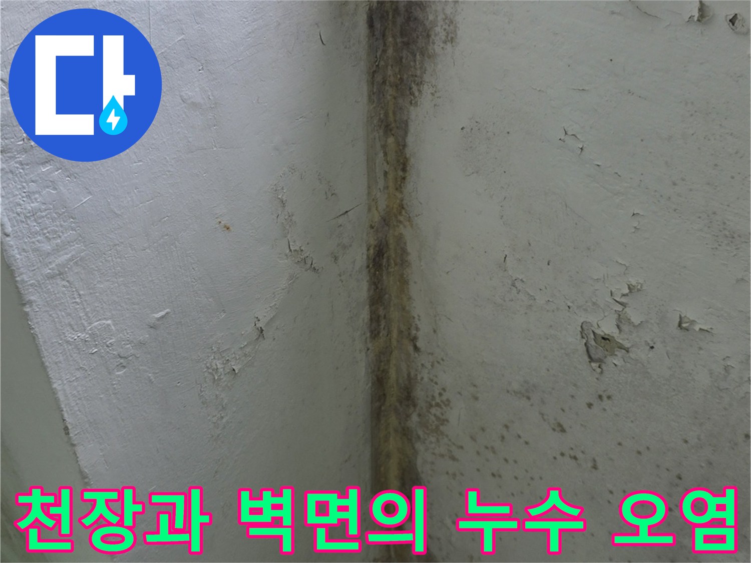 베란다-모서리-부근에-형성된-검은색-곰팡이와-습한-벽면-상태