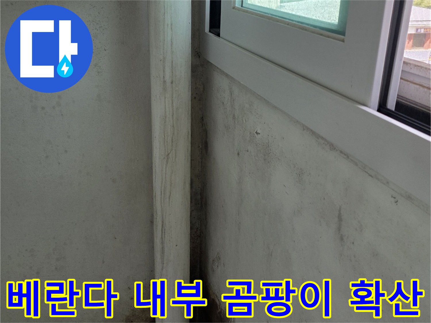 천장-표면에-검은-곰팡이가-군데군데-피어있고-벽면까지-오염이-진행된-현장-사진
