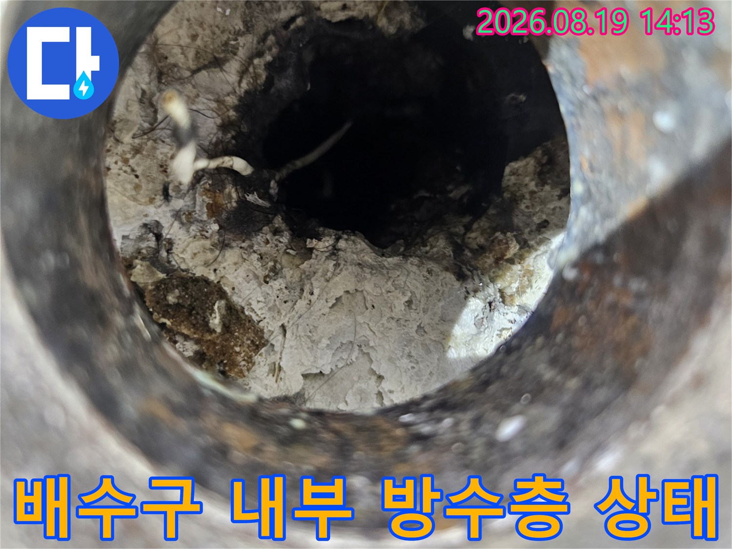 일산동구-욕실-배수구-내부의-노후된-방수재와-이물질-상태