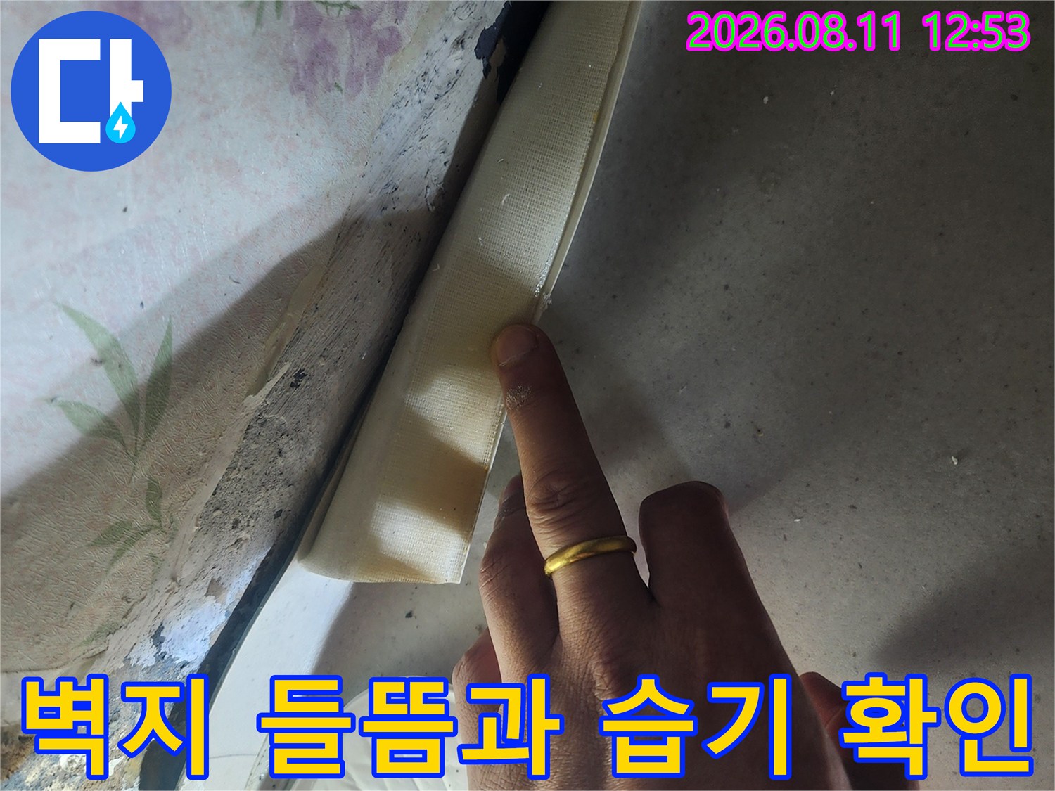 은평구 갈현동 현장의 벽지 들뜸과 하단부 습기 오염 상태