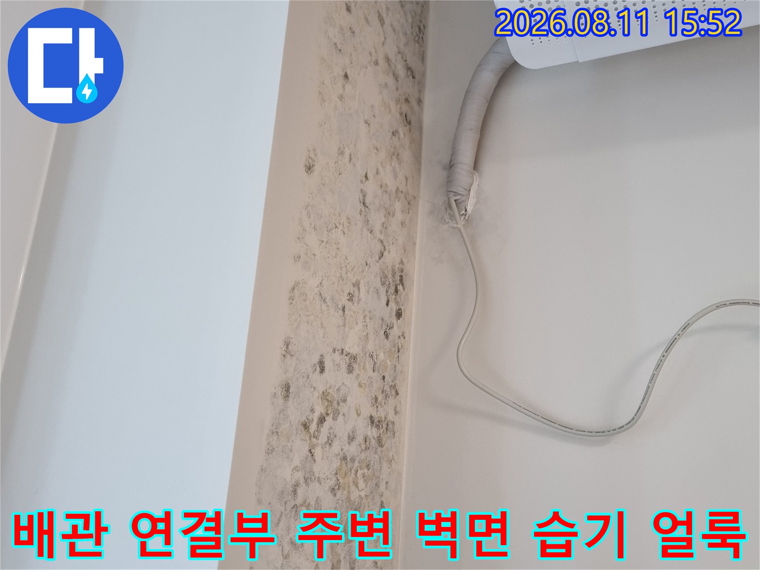 흰색 에어컨 배관과 전선이 지나가는 벽면에 발생한 다량의 곰팡이-얼룩-오염