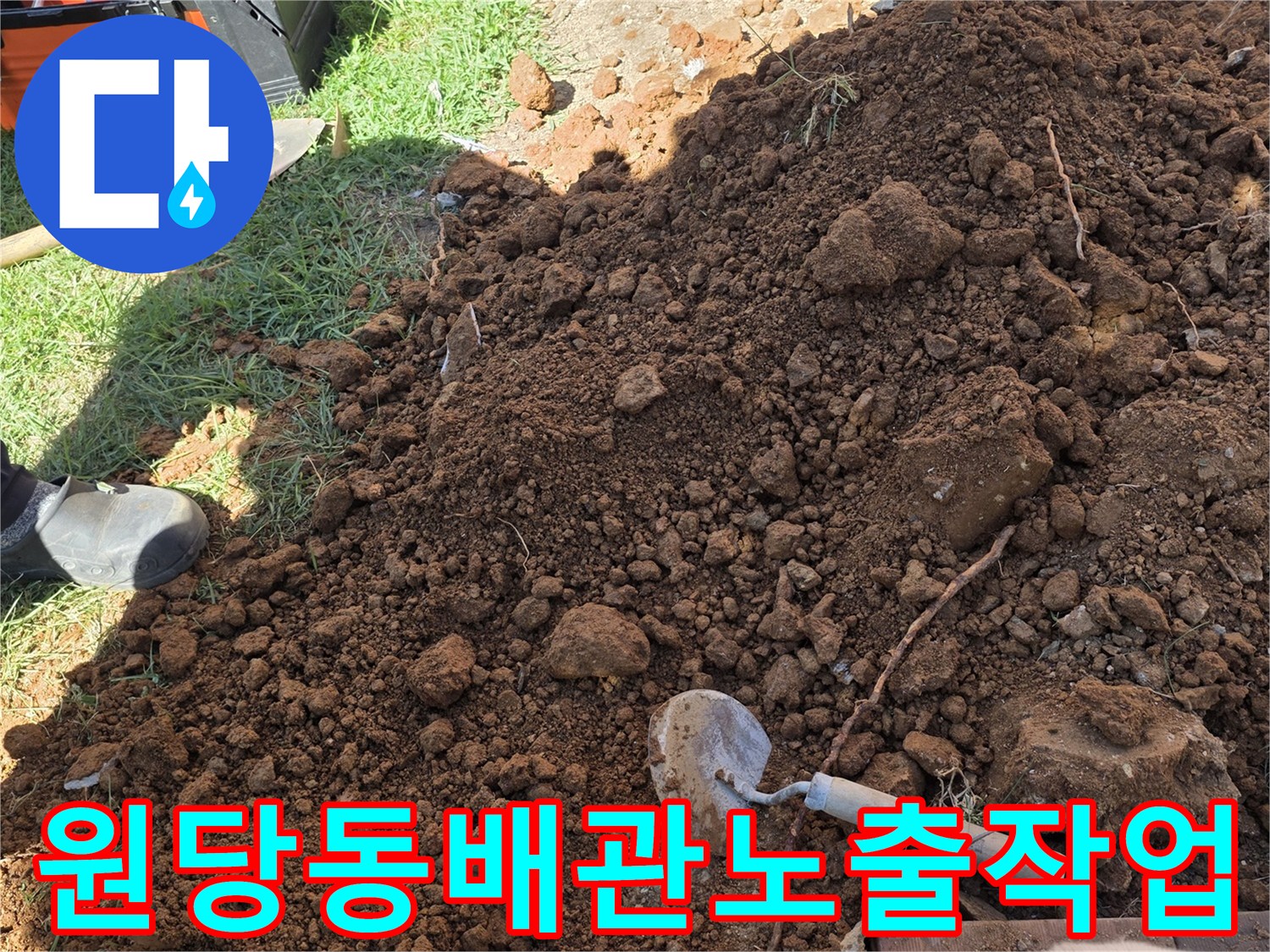 나무-뿌리-인근-배관-누수를-확인하기-위한-토사-제거-모습