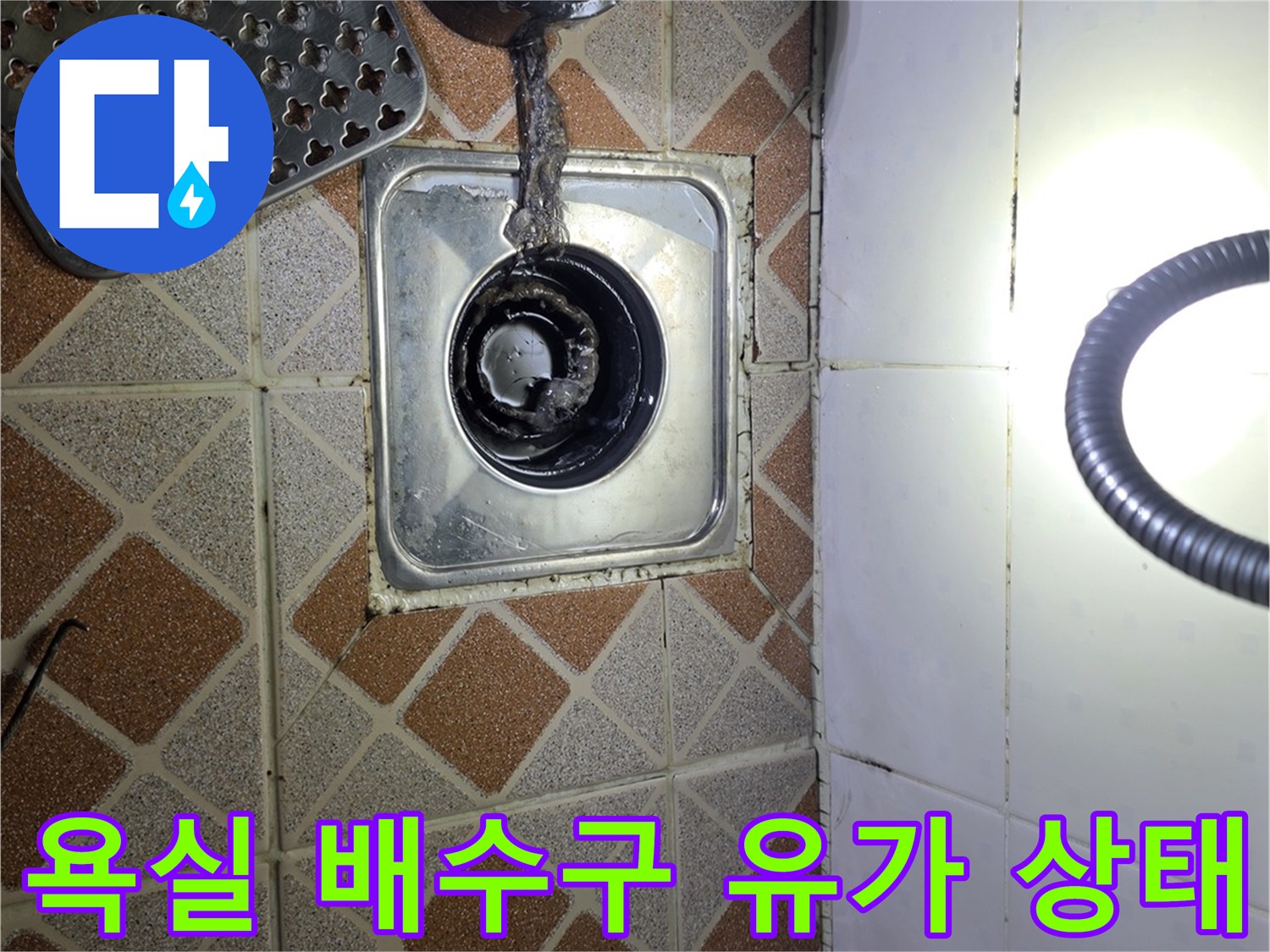 광명 철산동 화장실-배수구 유가 주변 타일 상태 확인