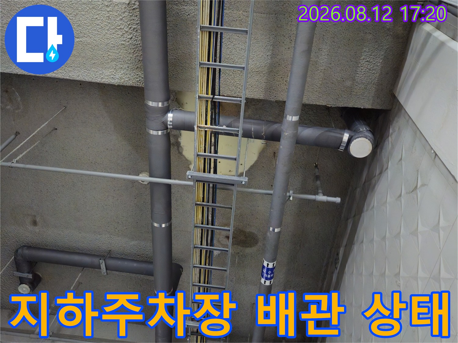 과천 별양동 상가 지하 주차장 천장의 복잡한 배관 구조와 누수 점검 현장
