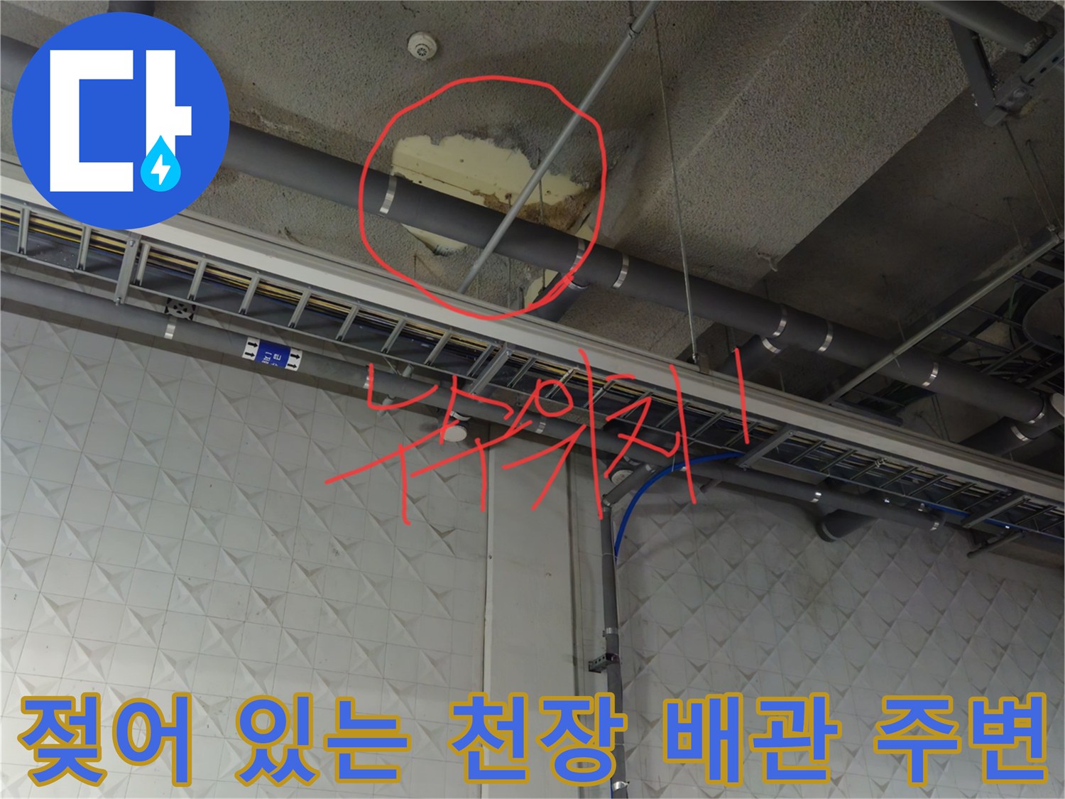 배관 근처에서 발견된 천장 콘크리트의 젖은 상태