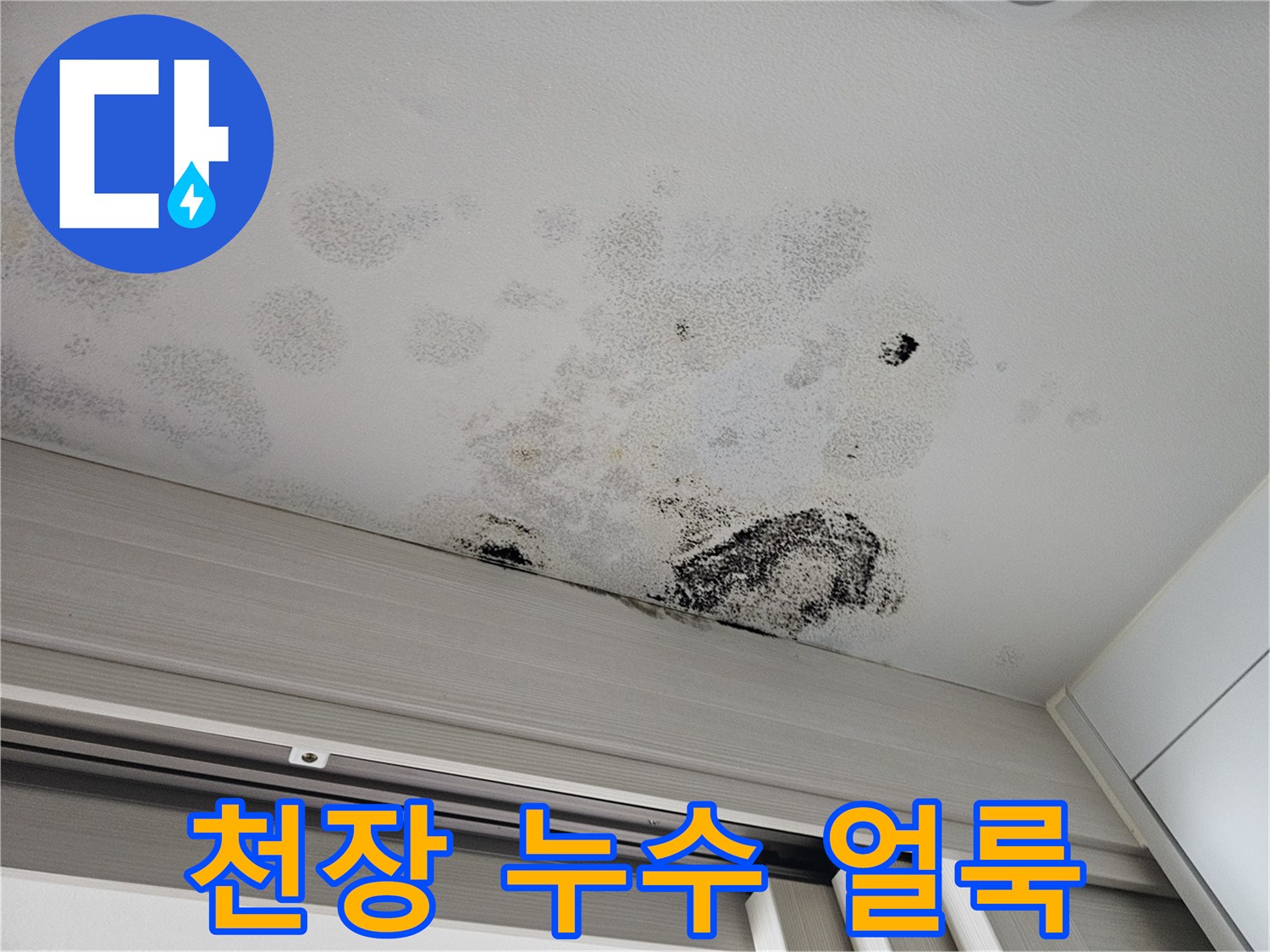 중문 천장에 발생한 넓은 범위의 수분 침투 흔적과 변색된 마감재