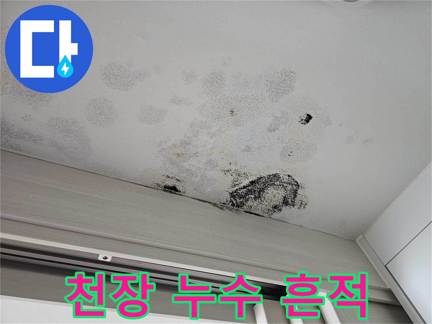 천장 마감재 표면에 번진 습기 자국과 곰팡이 오염 부위