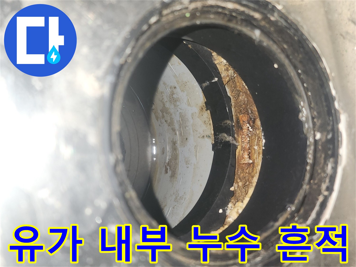 세탁실 배수구 유가 안쪽의 습기와 오염 상태