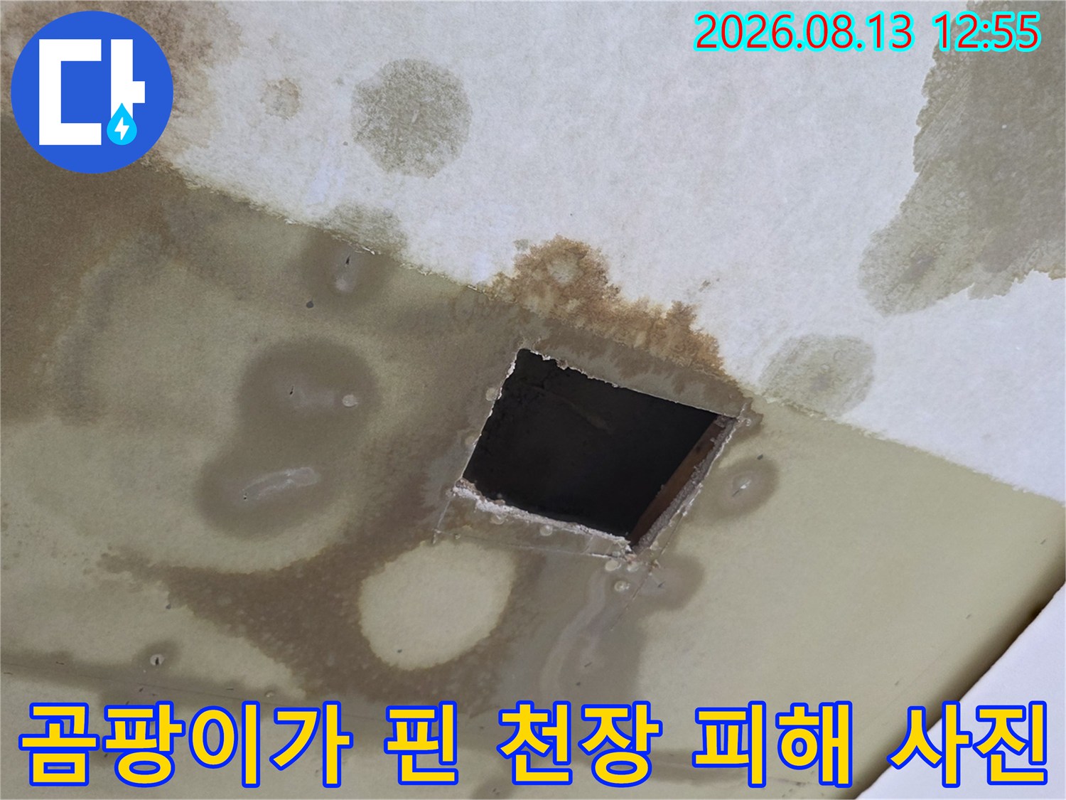 습기로 인해 갈색과 회색으로 얼룩진 천장-중앙의 작은 사각 구멍
