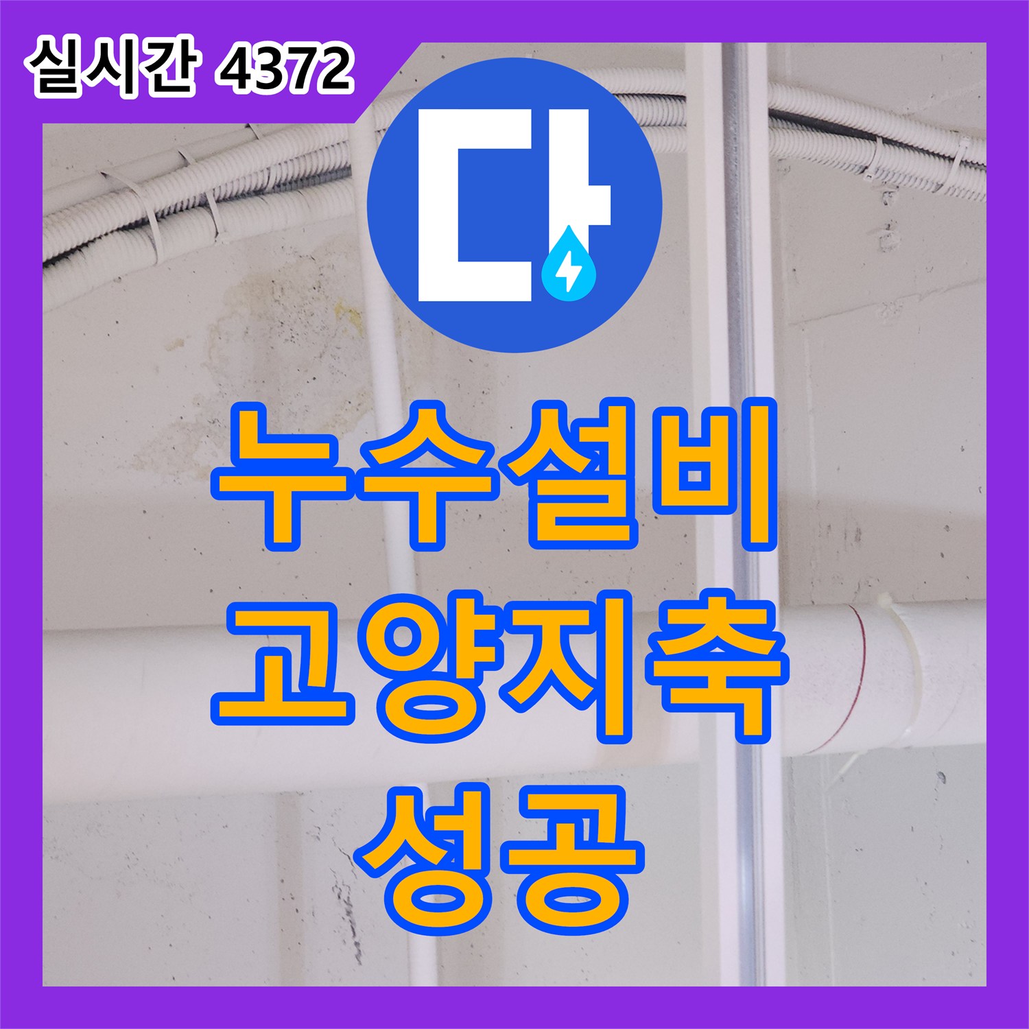 누수설비 식당 주방의 방수층 손상으로 인한 아랫층 누수를 정밀하게 보수한 사례 경기 고양시 덕양구 지축동