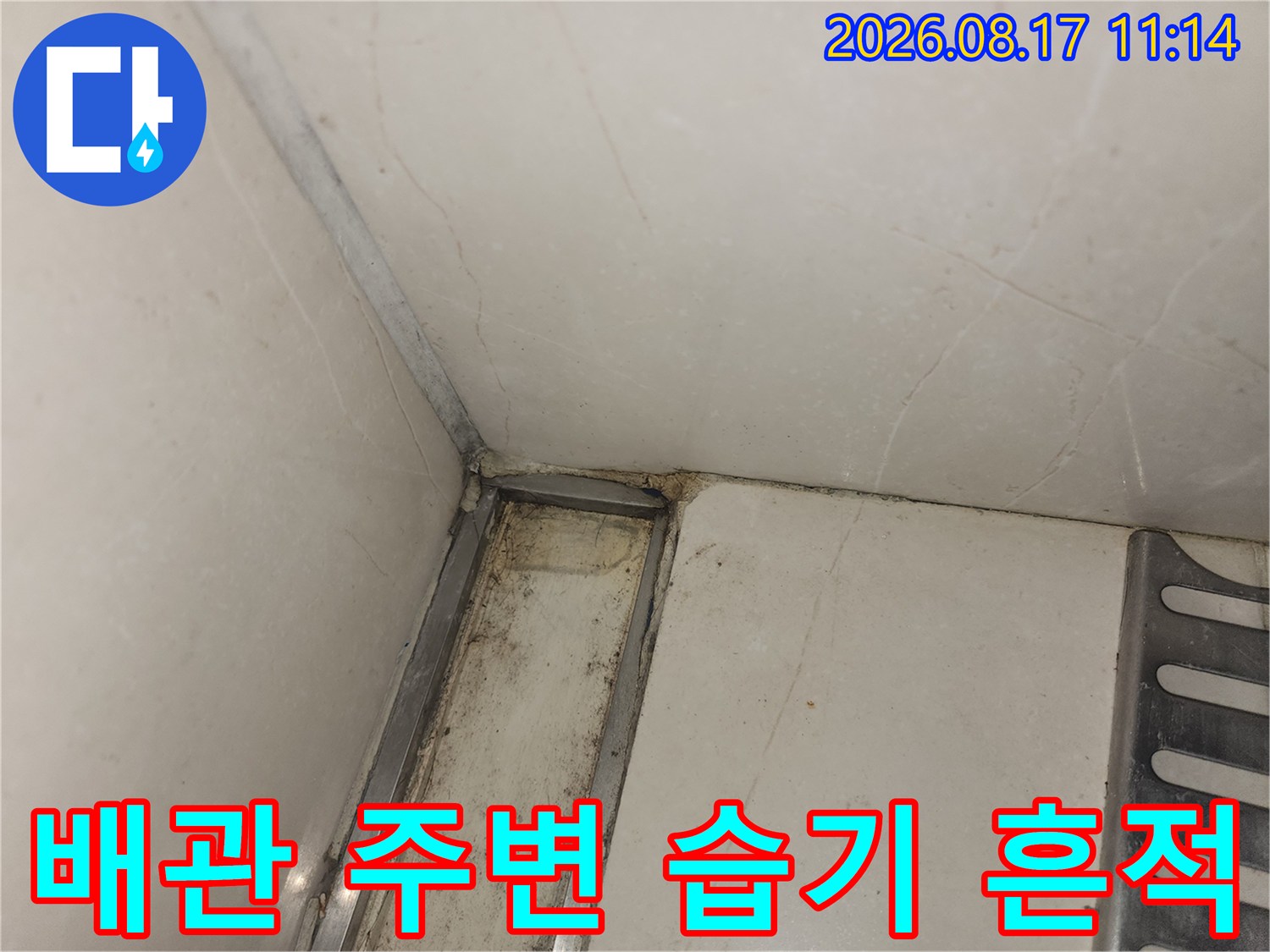 싱크대 아래 타일 틈새에 스며든 습기와 배수구 주변의 오염된 흔적입니다.